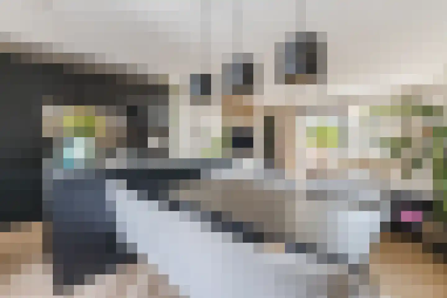 Monteverdistraat 308 Haarlem thumbnail 5