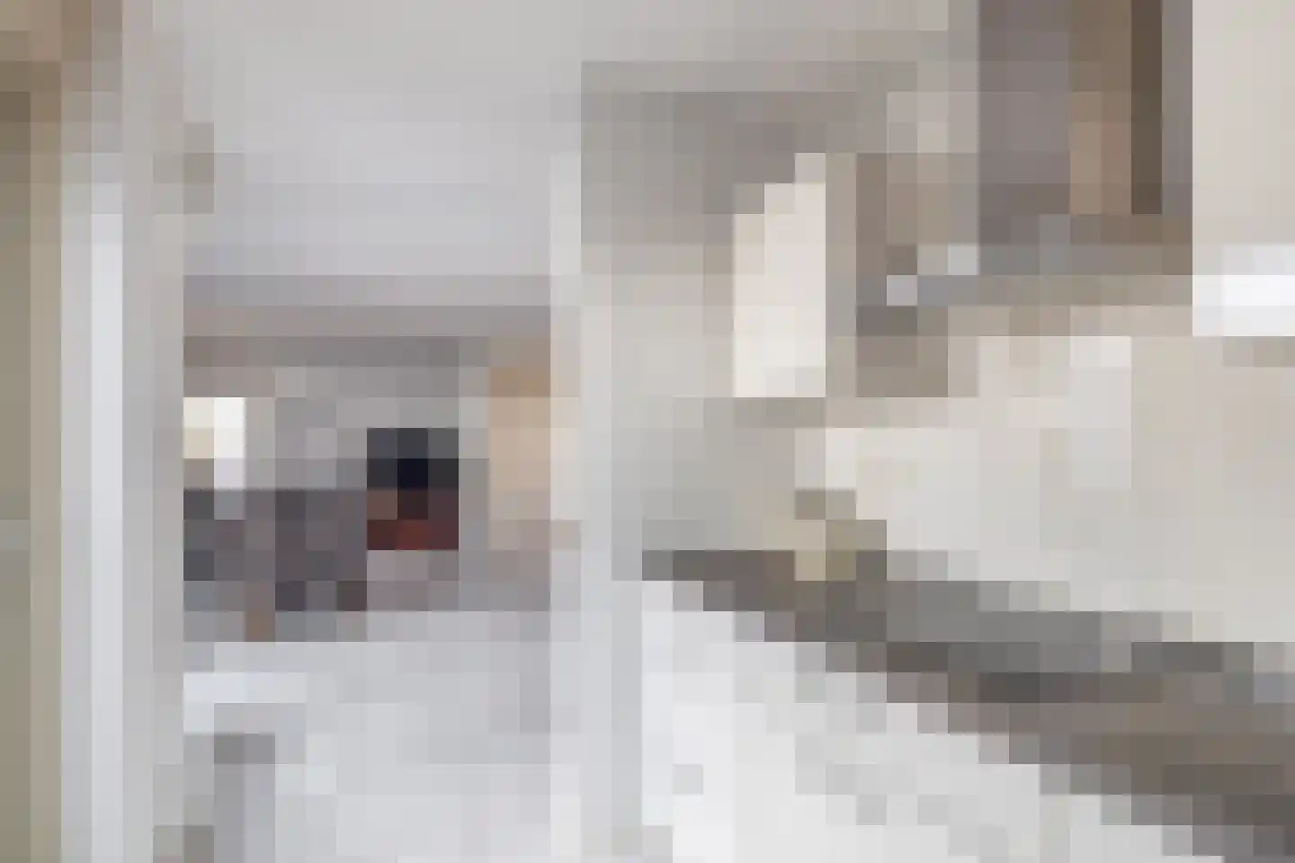 Monteverdistraat 48 Capelle aan den IJssel thumbnail 15