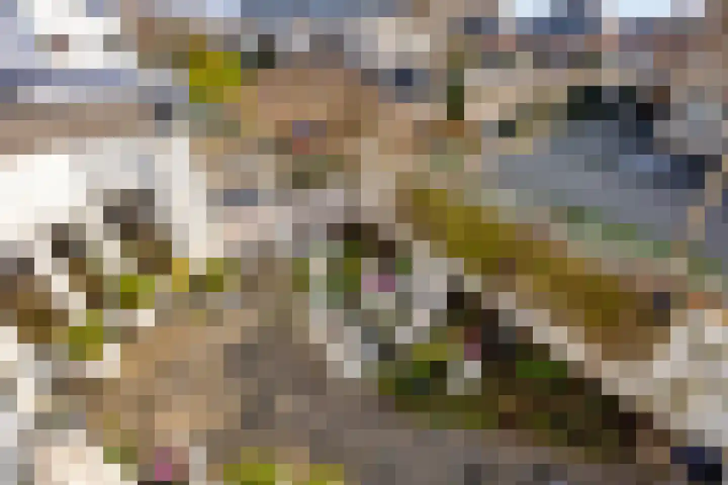 Monteverdistraat 58 Capelle aan den IJssel thumbnail 32