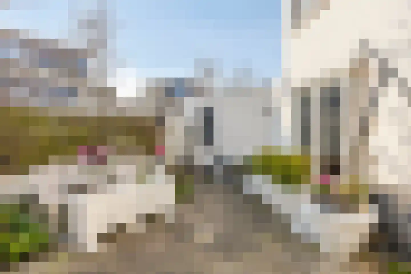 Monteverdistraat 58 Capelle aan den IJssel thumbnail 34