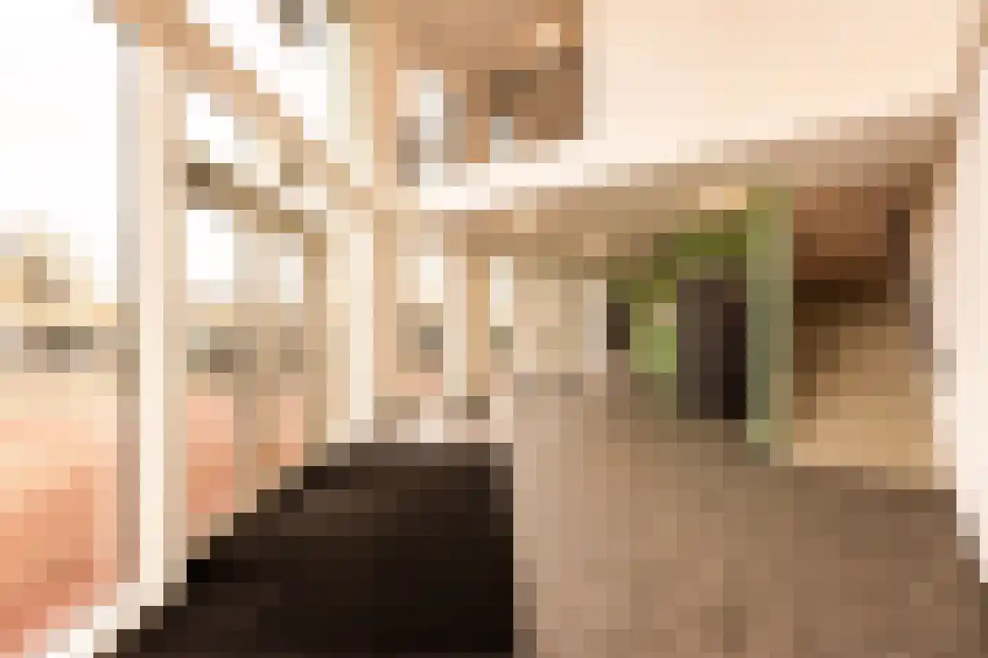 Monteverdistraat 6 Haarlem thumbnail 20