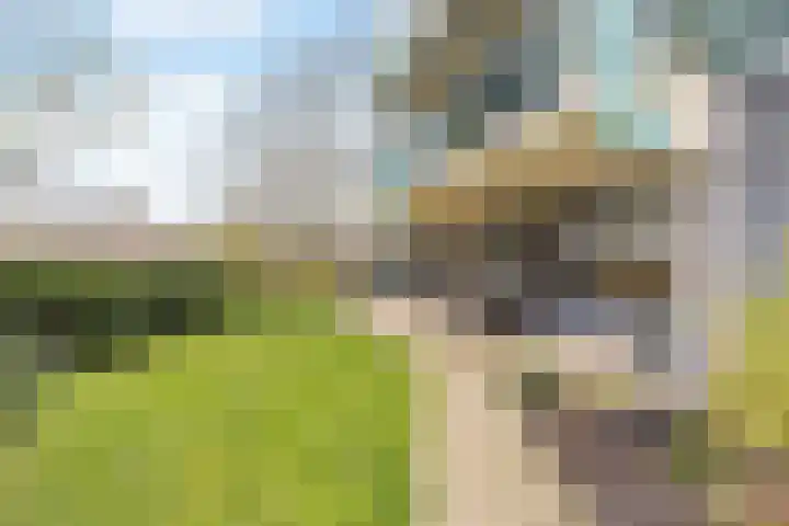 Monteverdistraat 71 Capelle aan den IJssel thumbnail 12