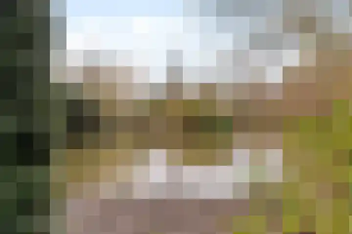 Monteverdistraat 71 Capelle aan den IJssel thumbnail 30