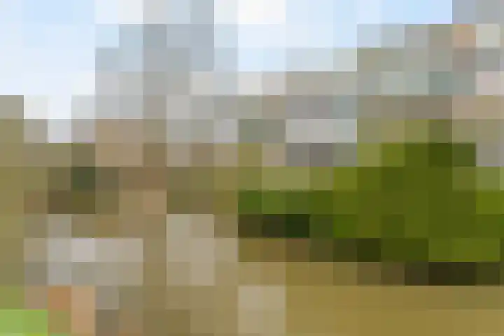 Monteverdistraat 71 Capelle aan den IJssel thumbnail 31