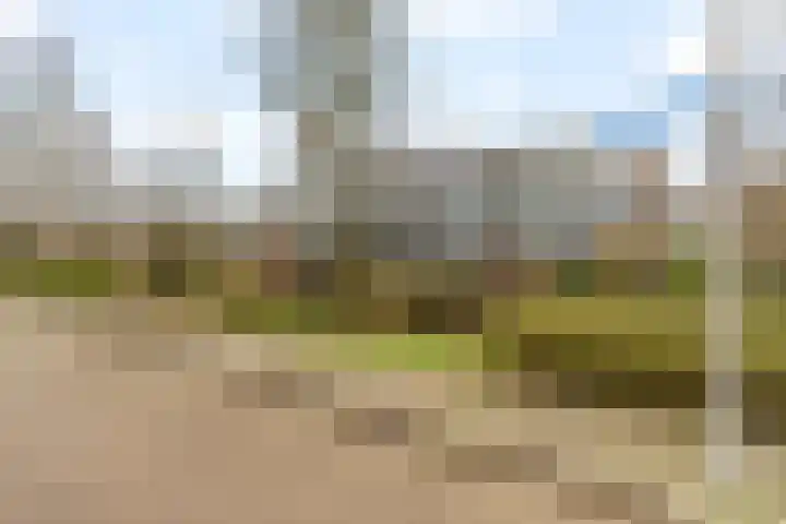 Monteverdistraat 71 Capelle aan den IJssel thumbnail 37