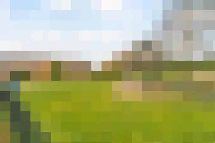 Monteverdistraat 71 Capelle aan den IJssel thumbnail 38
