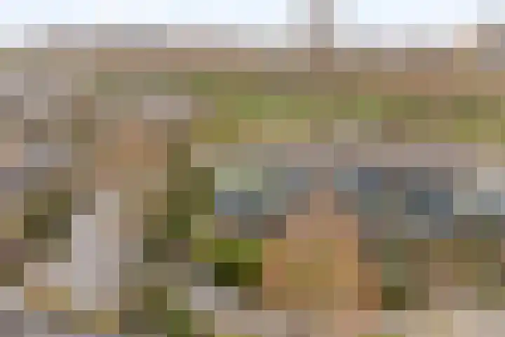 Monteverdistraat 71 Capelle aan den IJssel thumbnail 4