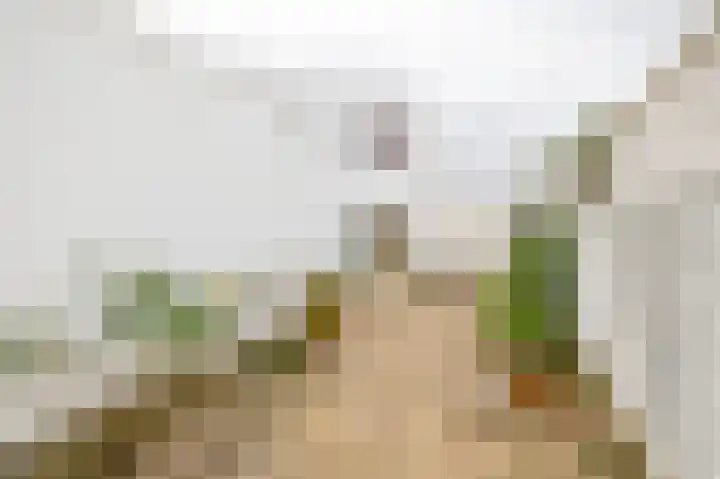 Monteverdistraat 76 Capelle aan den IJssel thumbnail 19