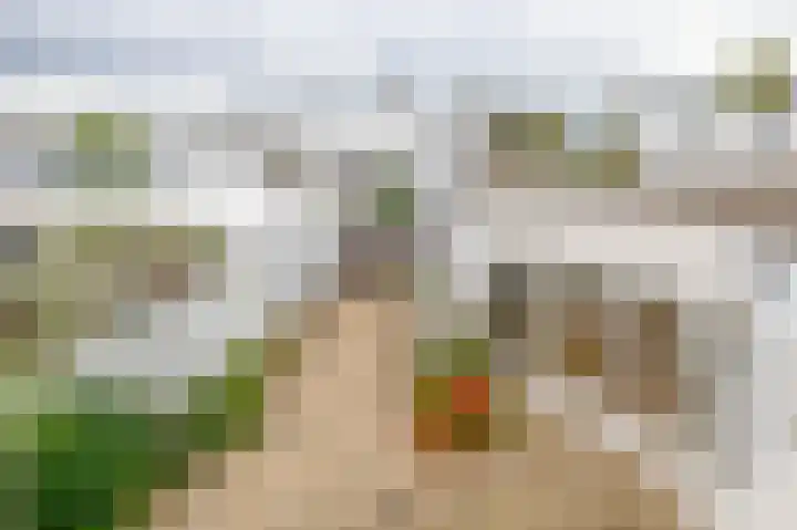 Monteverdistraat 76 Capelle aan den IJssel thumbnail 32