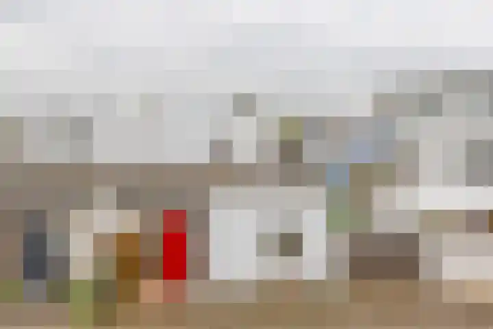Monteverdistraat 76 Capelle aan den IJssel thumbnail 35