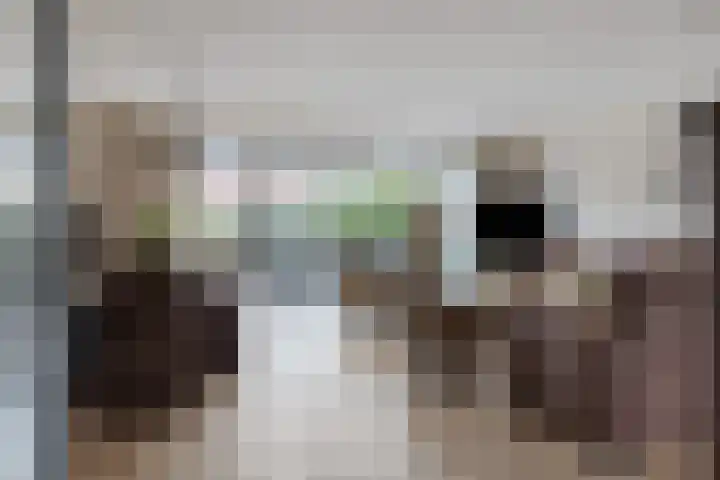 Monteverdistraat 77 Capelle aan den IJssel thumbnail 11