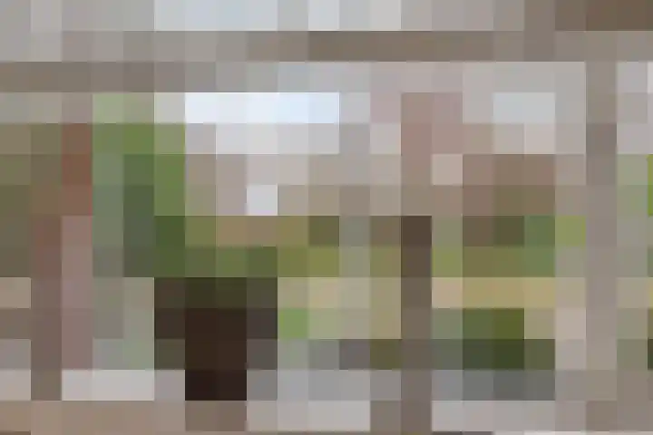 Monteverdistraat 77 Capelle aan den IJssel thumbnail 21