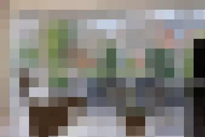 Monteverdistraat 77 Capelle aan den IJssel thumbnail 22