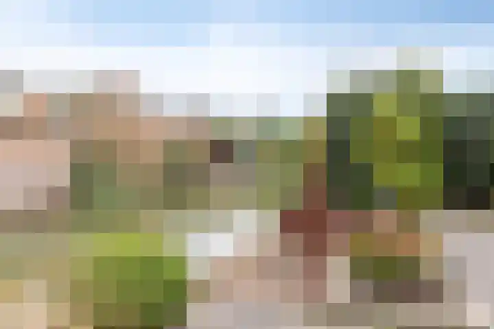 Monteverdistraat 77 Capelle aan den IJssel thumbnail 25