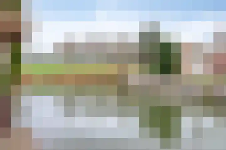 Monteverdistraat 77 Capelle aan den IJssel thumbnail 27