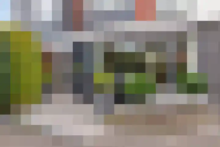 Monteverdistraat 77 Capelle aan den IJssel thumbnail 29