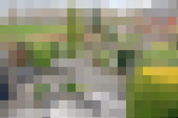 Monteverdistraat 77 Capelle aan den IJssel thumbnail 45