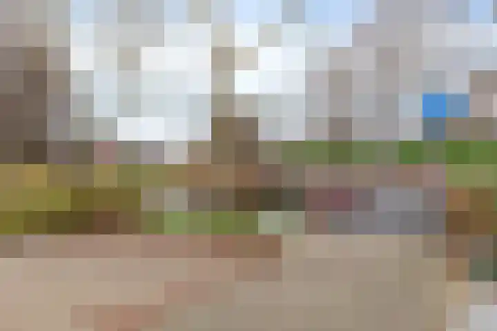 Monteverdistraat 77 Capelle aan den IJssel thumbnail 48