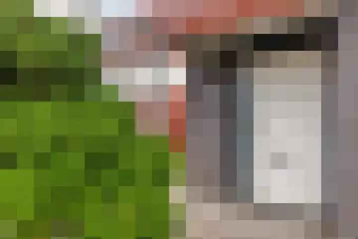 Monteverdistraat 77 Capelle aan den IJssel thumbnail 5