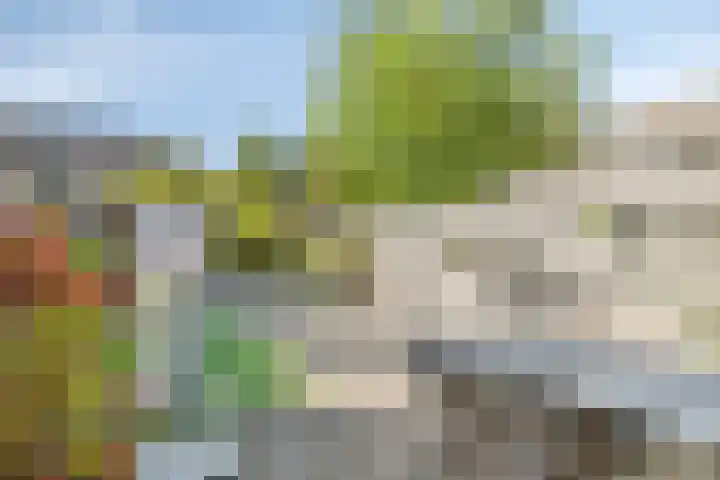Monteverdistraat 77 Purmerend thumbnail 6