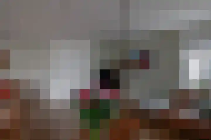 Monteverdistraat 90 Capelle aan den IJssel thumbnail 10