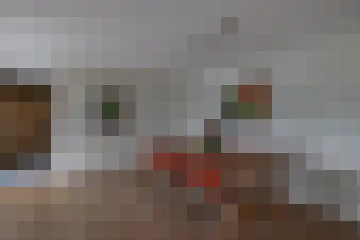 Monteverdistraat 90 Capelle aan den IJssel thumbnail 11