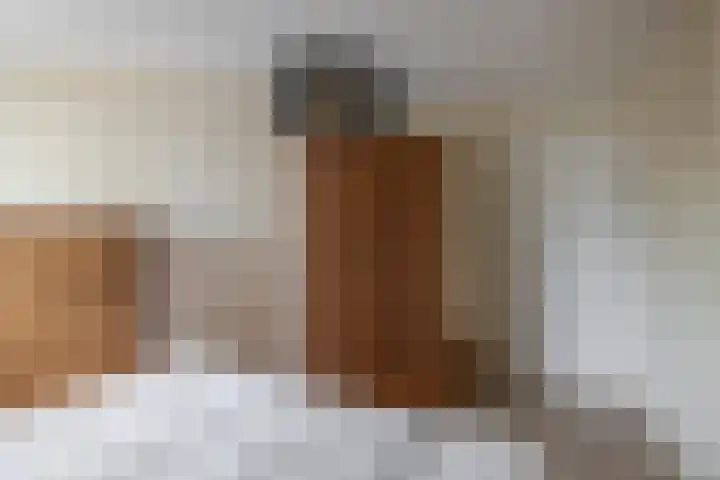 Monteverdistraat 90 Capelle aan den IJssel thumbnail 25
