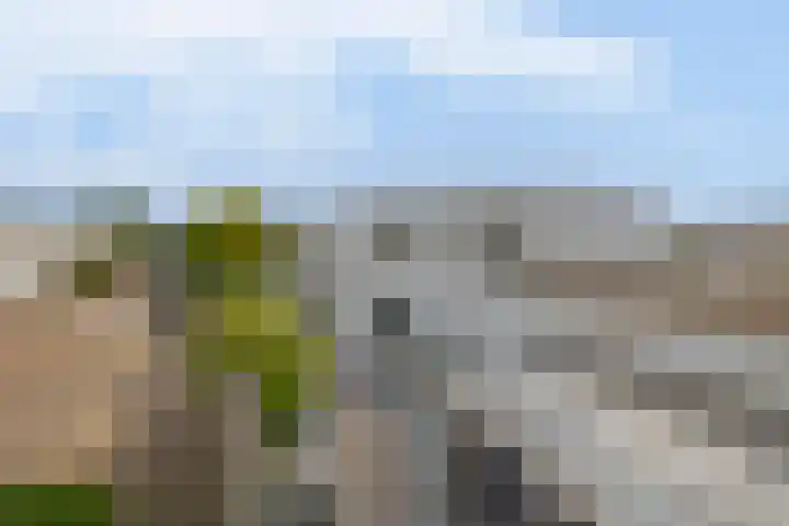 Monteverdistraat 90 Capelle aan den IJssel thumbnail 34