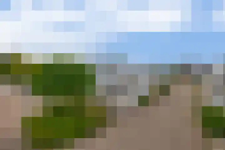 Monteverdistraat 90 Capelle aan den IJssel thumbnail 37