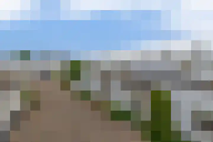 Monteverdistraat 90 Capelle aan den IJssel thumbnail 43