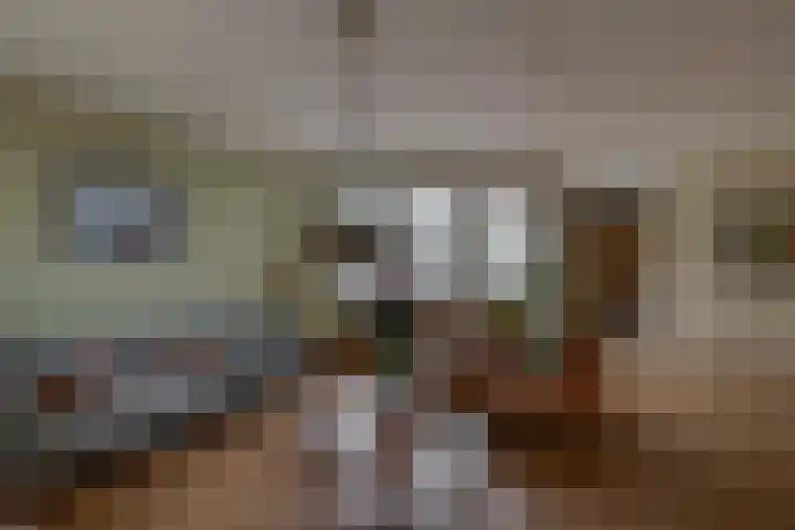 Monteverdistraat 90 Capelle aan den IJssel thumbnail 8