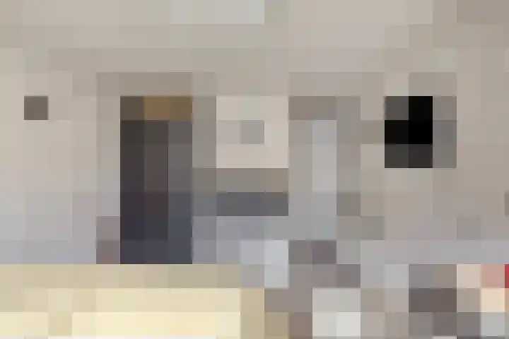 Monteverdistraat 91 Capelle aan den IJssel thumbnail 25