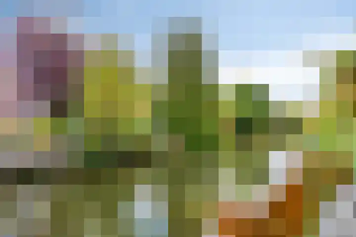 Monteverdistraat 91 Capelle aan den IJssel thumbnail 4