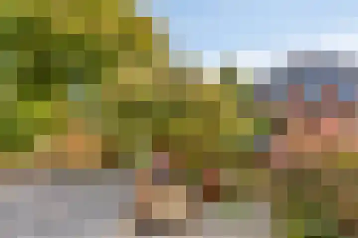 Monteverdistraat 91 Capelle aan den IJssel thumbnail 50