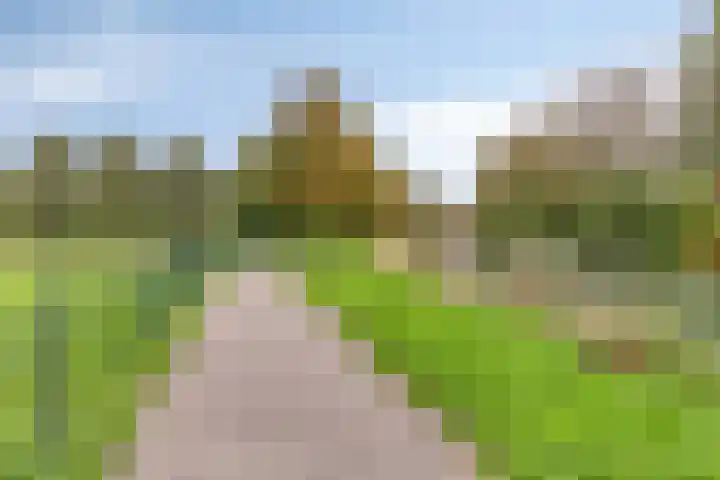 Monteverdistraat 91 Capelle aan den IJssel thumbnail 54