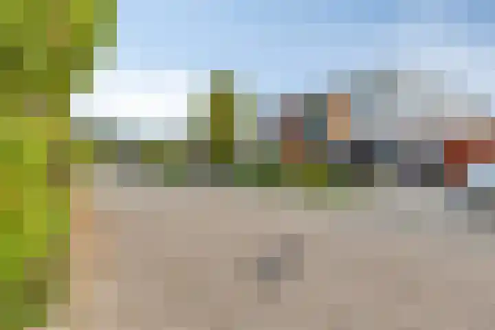 Monteverdistraat 91 Capelle aan den IJssel thumbnail 6