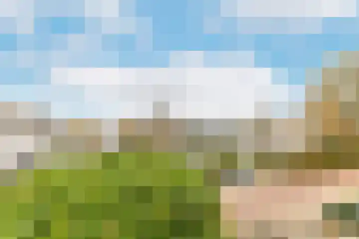 Montferland 18 Purmerend thumbnail 46