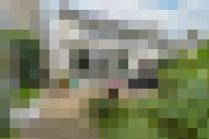 Montferland 18 Purmerend thumbnail 5