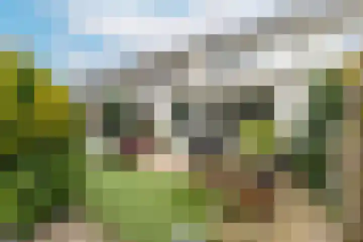 Montferland 18 Purmerend thumbnail 57