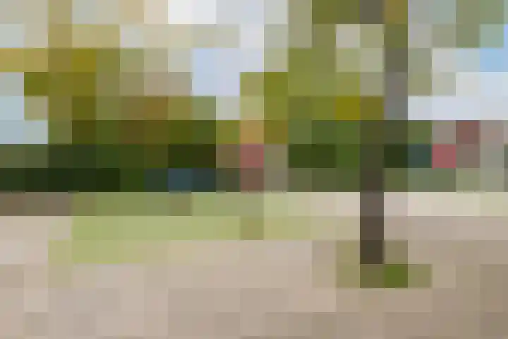 Montferland 18 Purmerend thumbnail 59