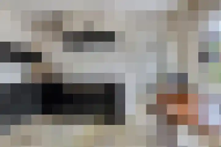Montferland 7 Emmeloord thumbnail 17