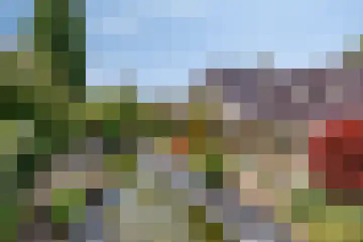 Montferland 7 Emmeloord thumbnail 47