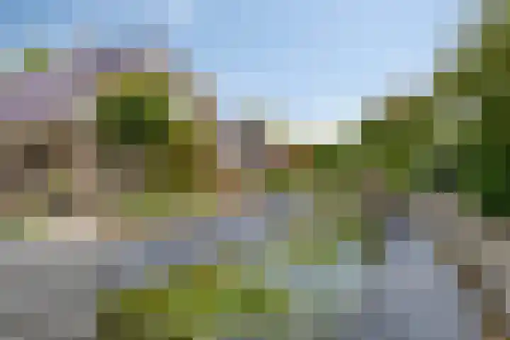 Montferland 7 Emmeloord thumbnail 48