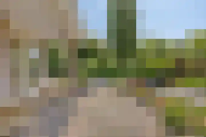 Montferland 7 Emmeloord thumbnail 49