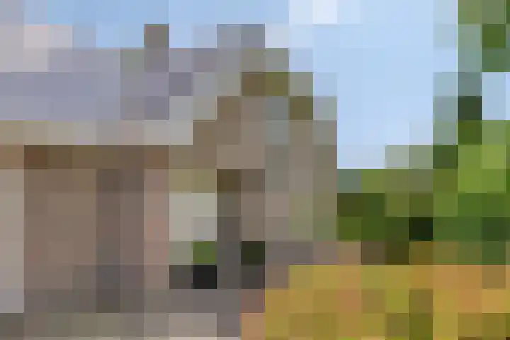 Montferland 7 Emmeloord thumbnail 5