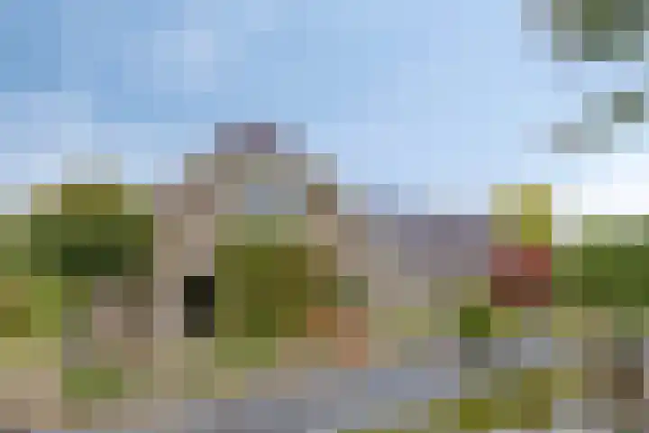 Montferland 7 Emmeloord thumbnail 51