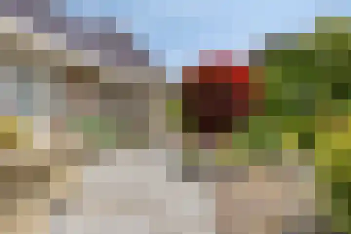 Montferland 7 Emmeloord thumbnail 53