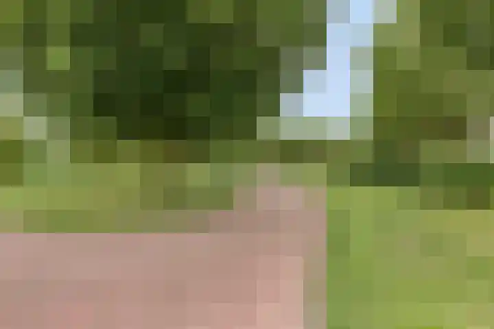 Montferland 7 Emmeloord thumbnail 54