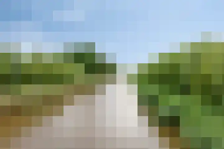 Montferland 7 Emmeloord thumbnail 55