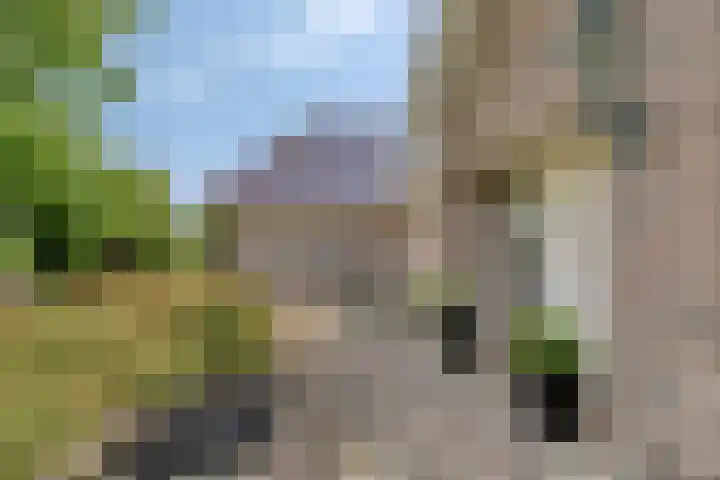 Montferland 7 Emmeloord thumbnail 6